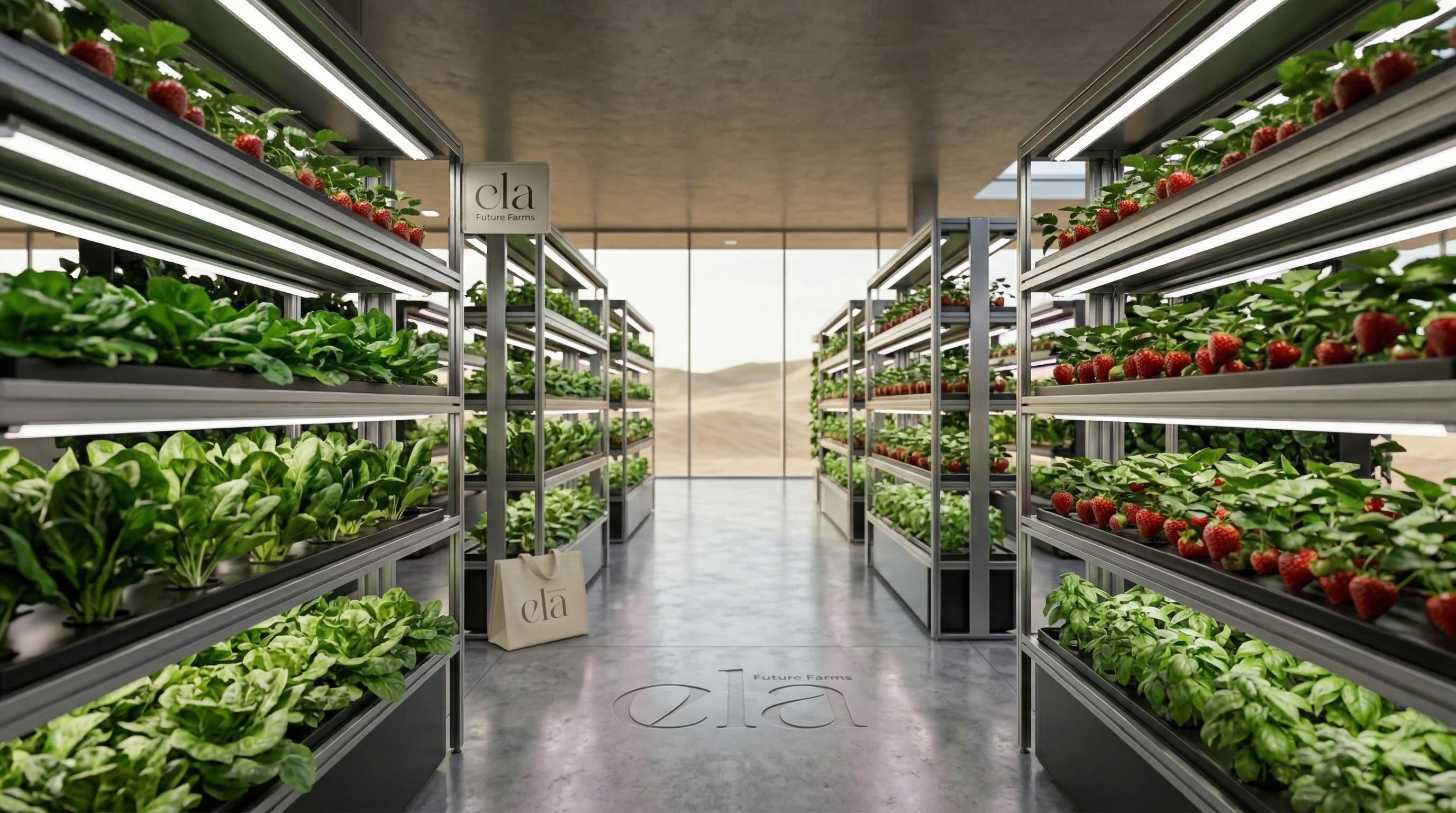 Leafy greens growing in NFT channels